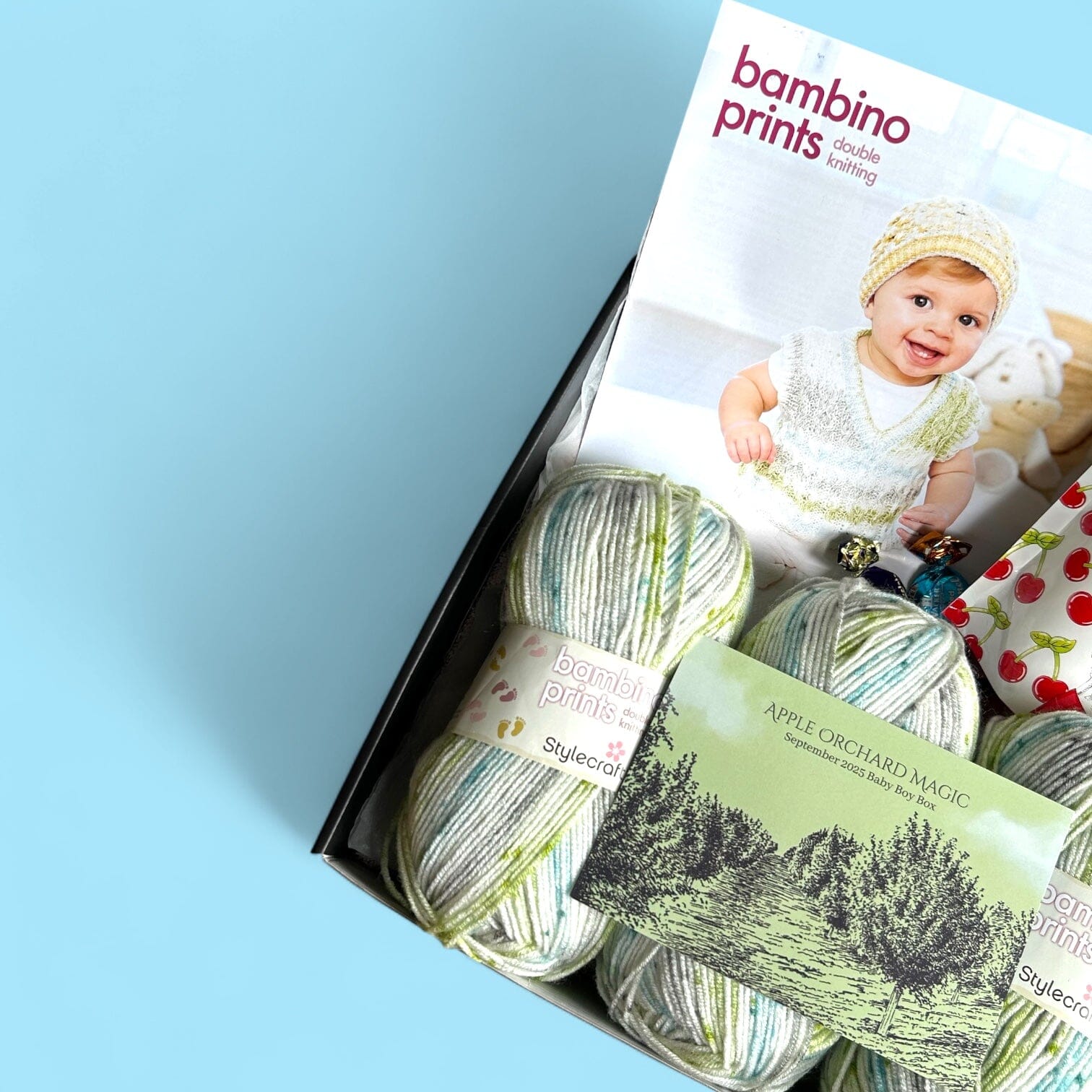 Apple Orchard Magic Baby Boy Jumper/ Tank Top Knit in a Box