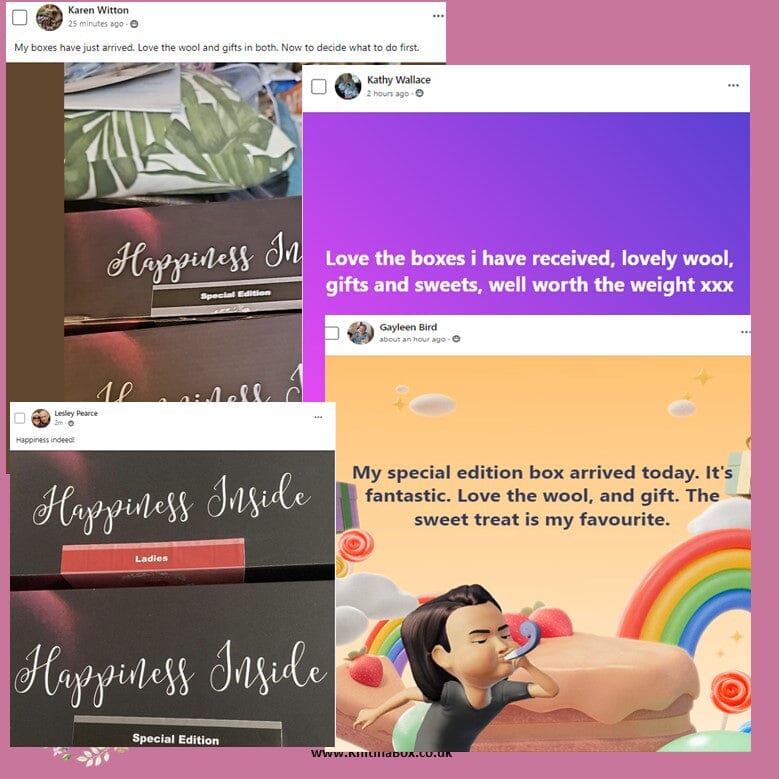 'Future Dreams' Special Edition Knitting/Crochet Box 🌹💖 Knit in a Box