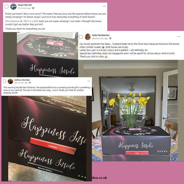 'Future Dreams' Special Edition Knitting/Crochet Box 🌹💖 Knit in a Box