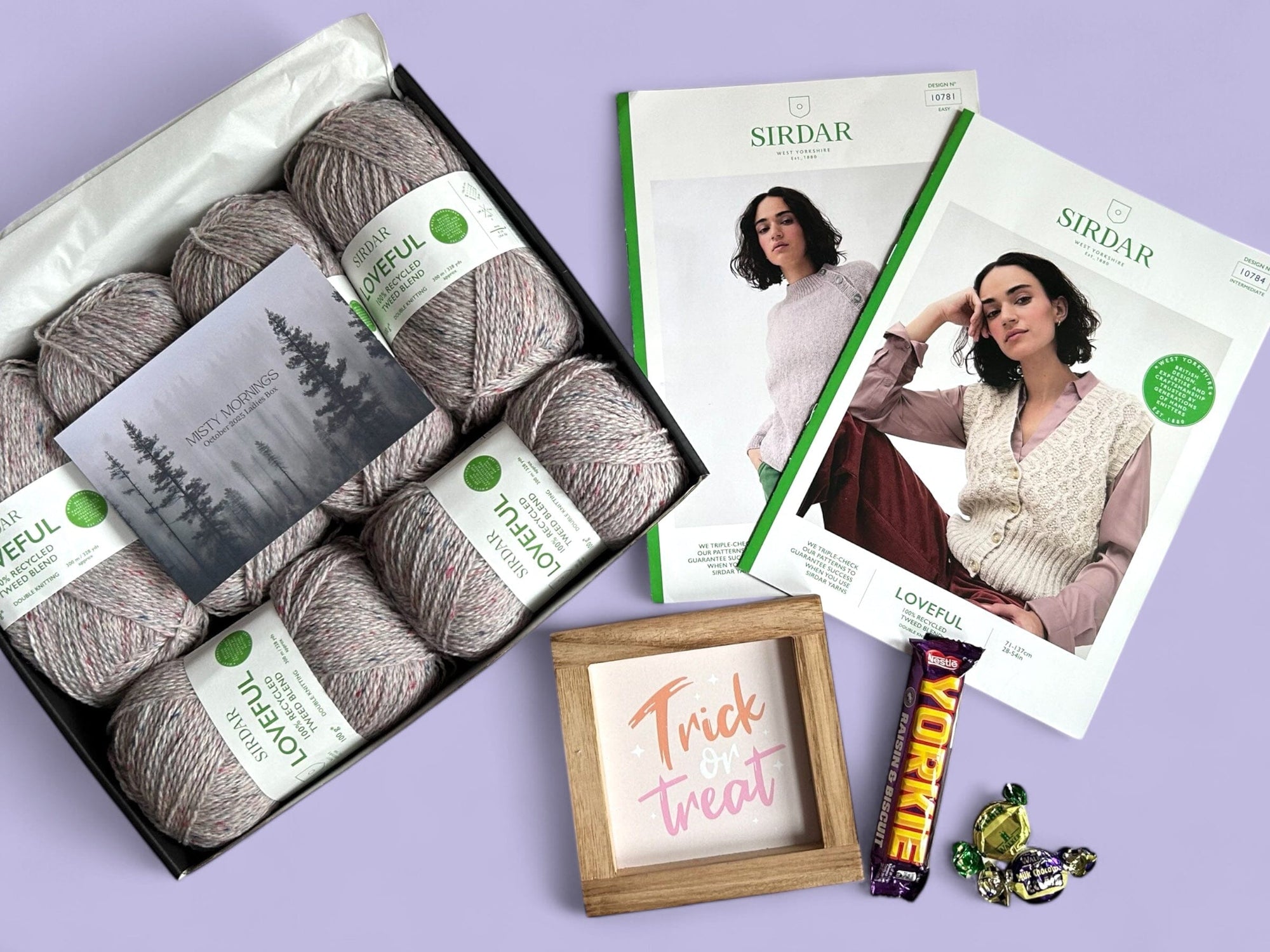 Misty Mornings Ladies Jumper/ Vest Knit in a Box