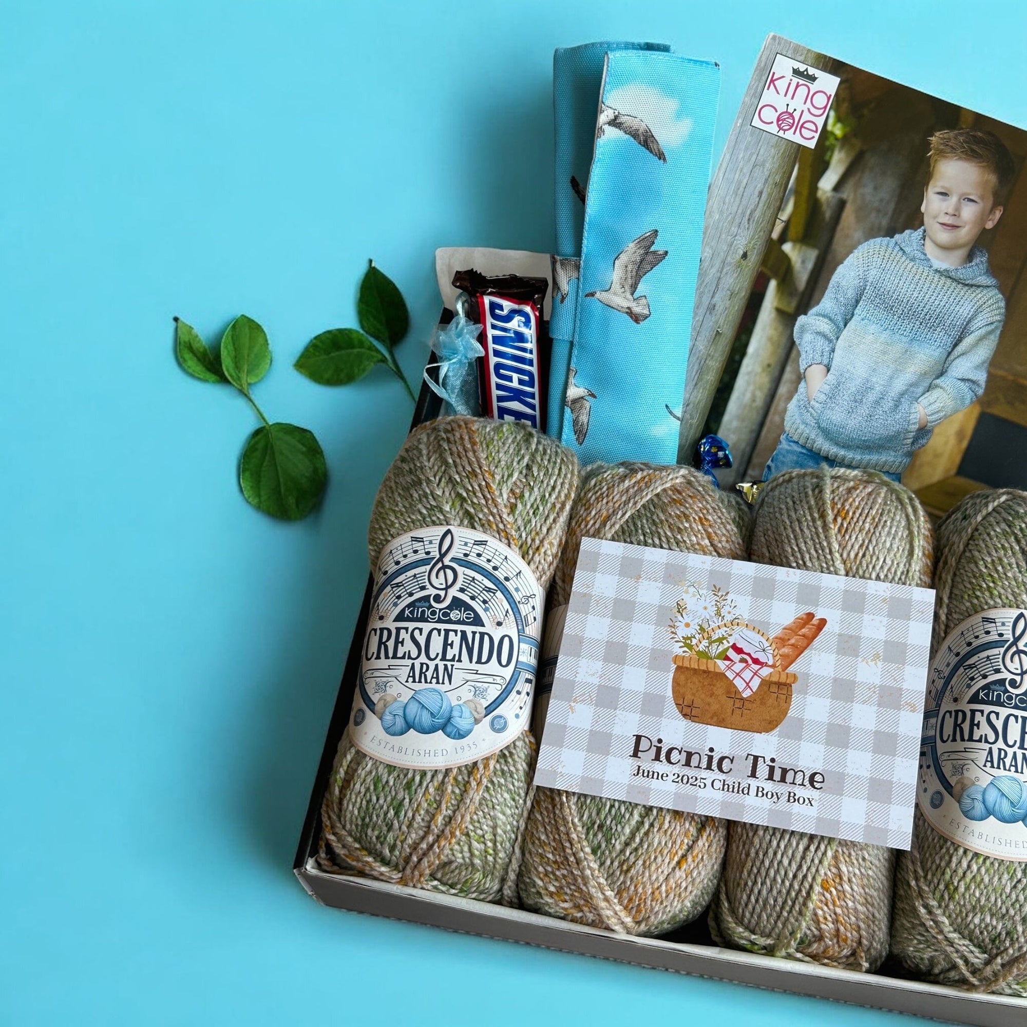 Picnic Time Child Boy Jacket Knit in a Box